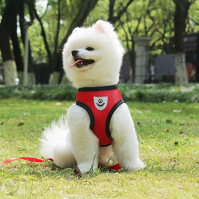 Arnés ajustable con collar y correa para perros pequeños y gatos, foto 11 de 16