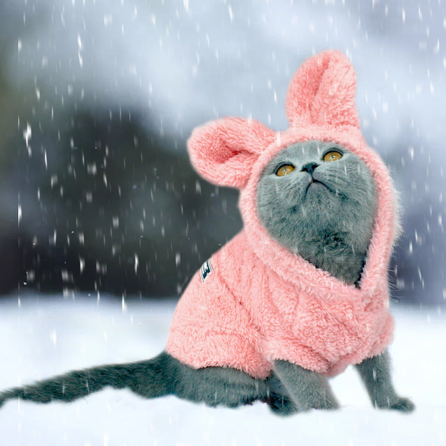 Abrigo de invierno para perros y gatos