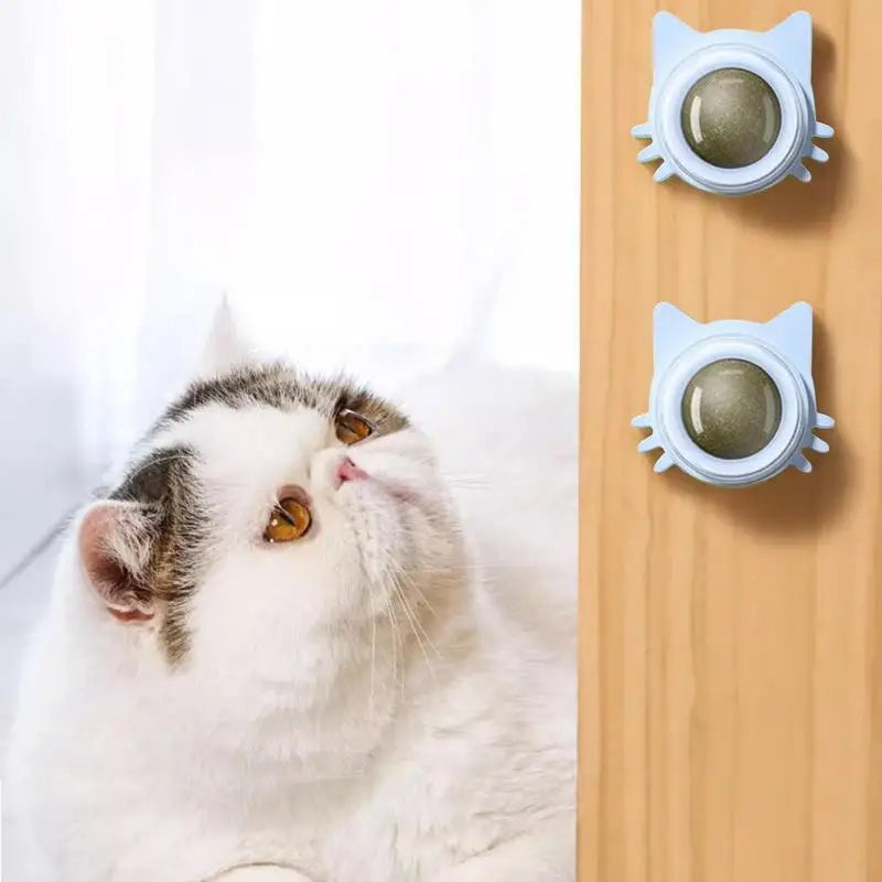 Bola de hierba gatera adhesiva para gatos