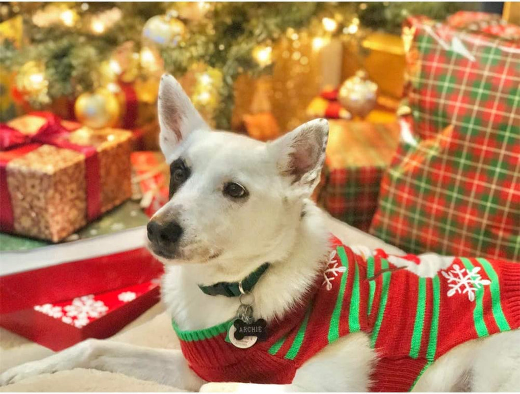 Jersey navideño con muñeco de nieve para perros y gatos