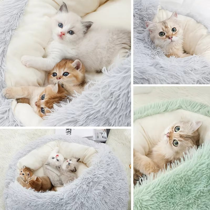 Cama mullida 2 en 1 para perros pequeños y gatos