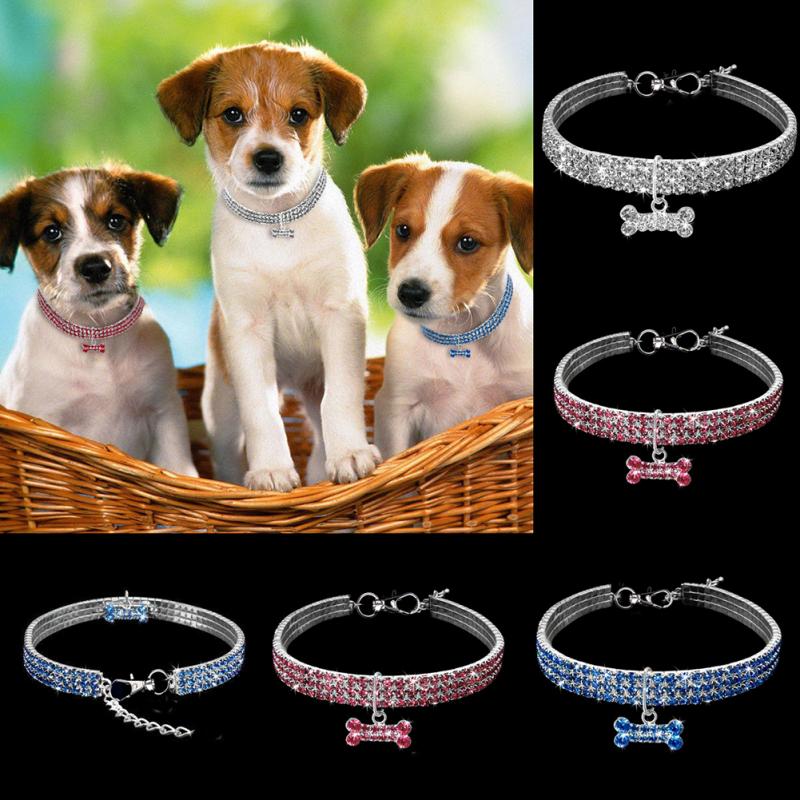 Collar de strass brillante para perros pequeños y gatos