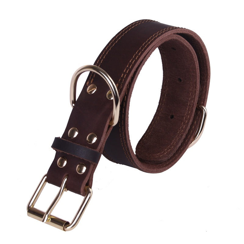 Collar de cuero para perros medianos y grandes con hebilla