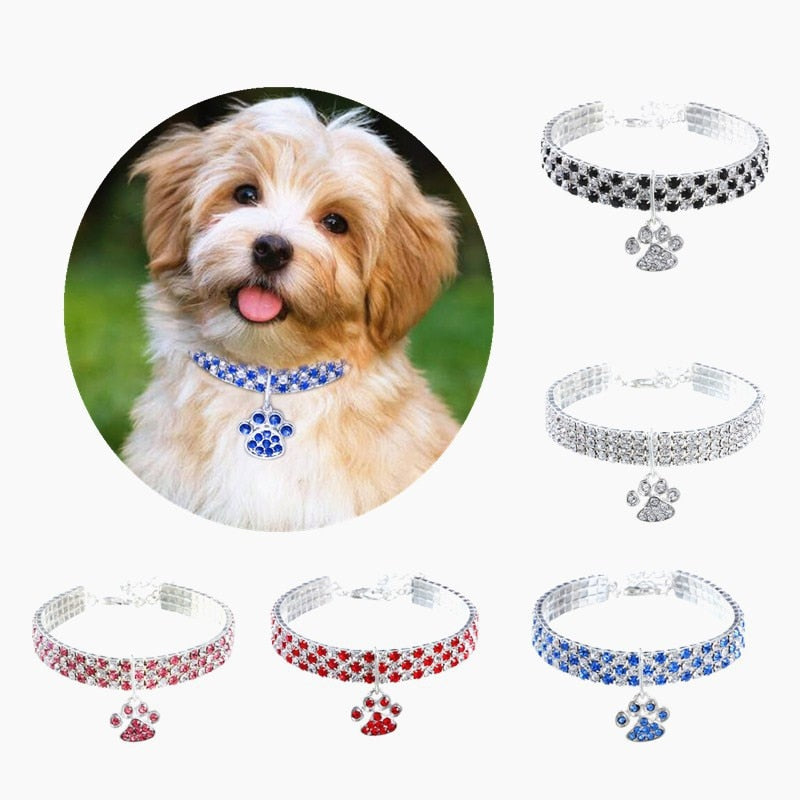 Collar ajustable con pedrería para perros y gatos