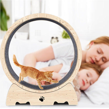 Rueda de ejercicio para gatos de interior de madera