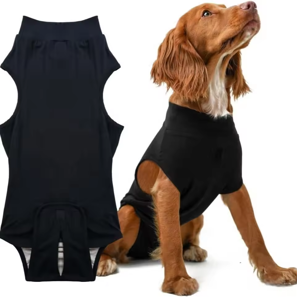 Traje de recuperación postoperatoria para perros