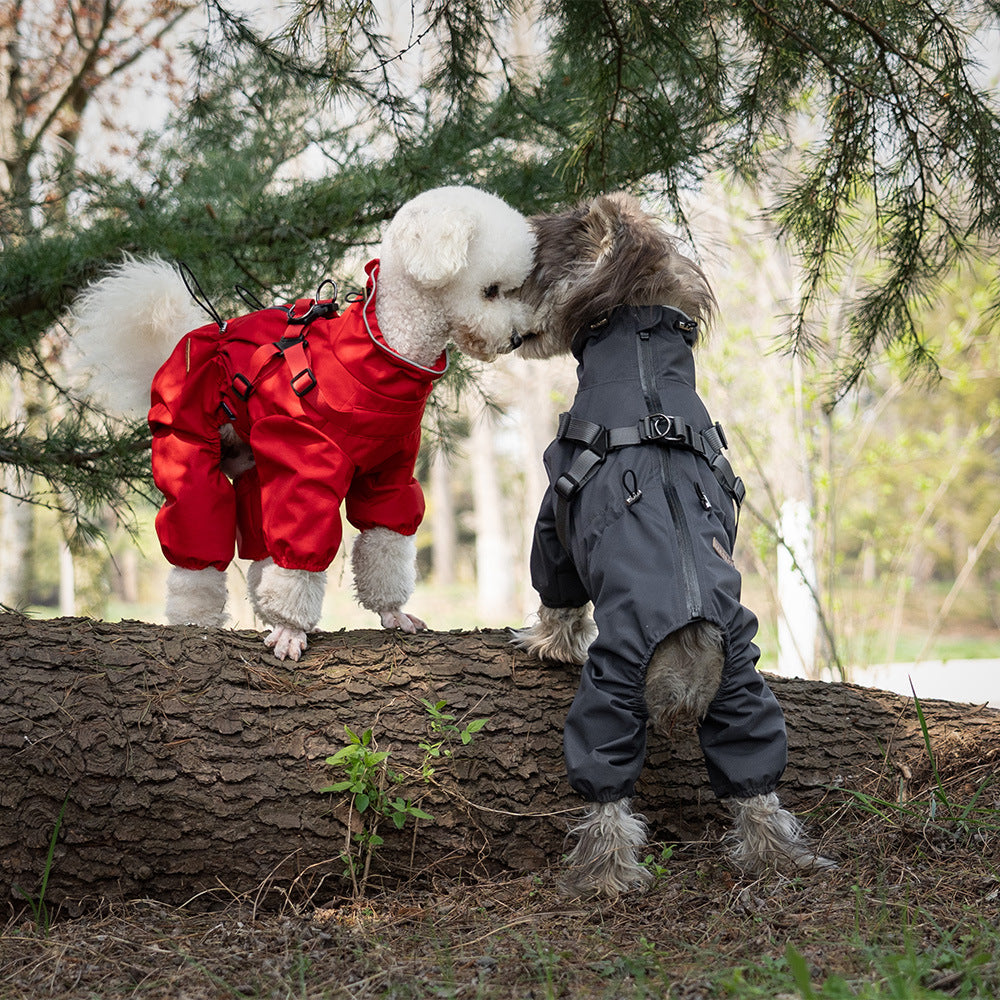 Chubasquero impermeable con capucha para perros pequeños y medianos