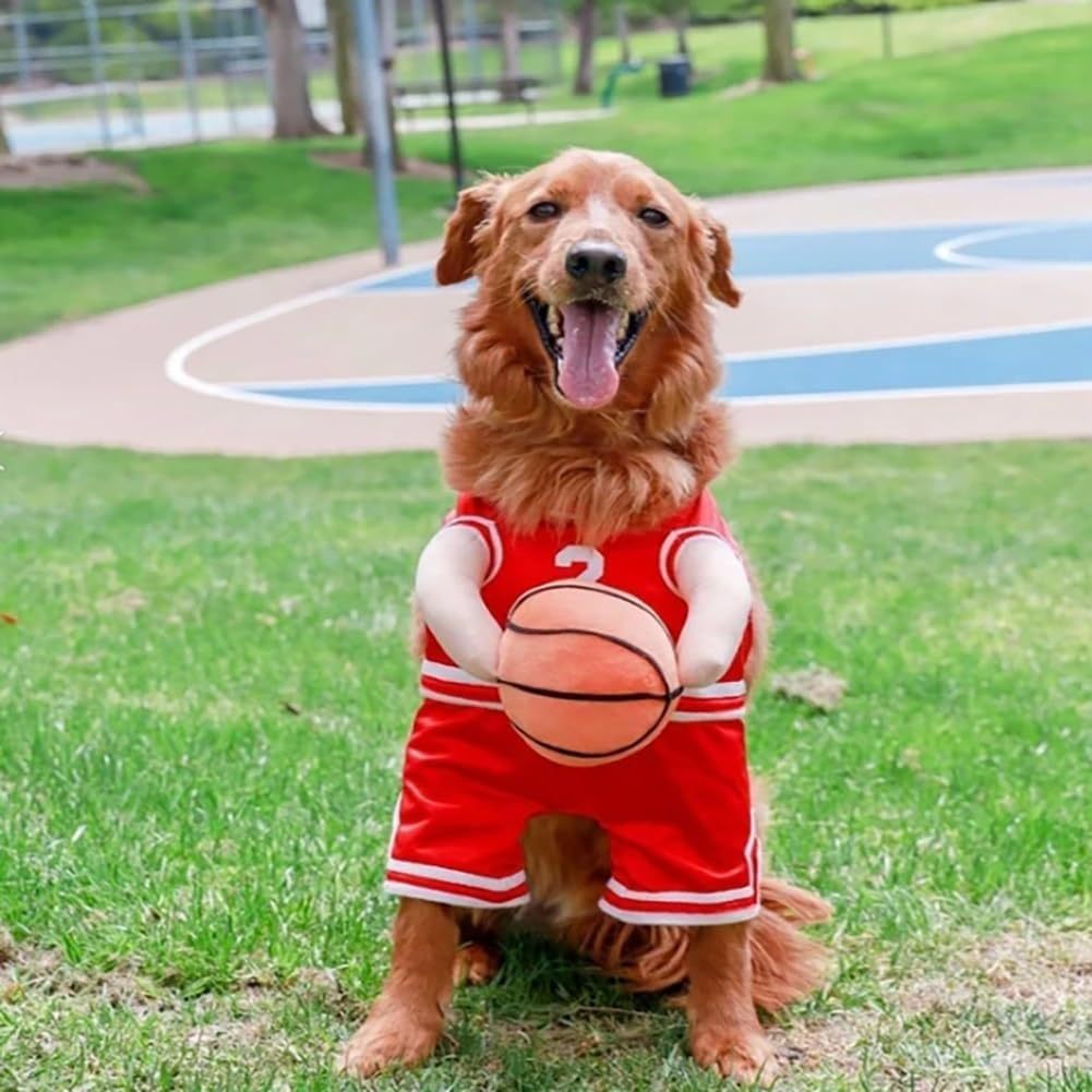 Camiseta de baloncesto para perros
