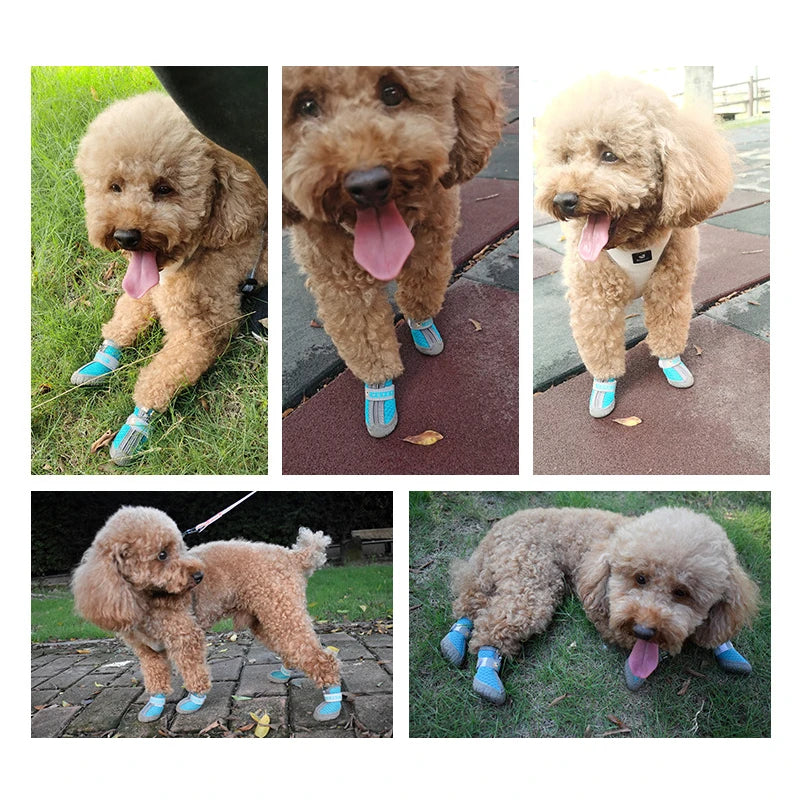 Zapatos transpirables antideslizantes para perros