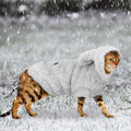 Abrigo de invierno para perros y gatos