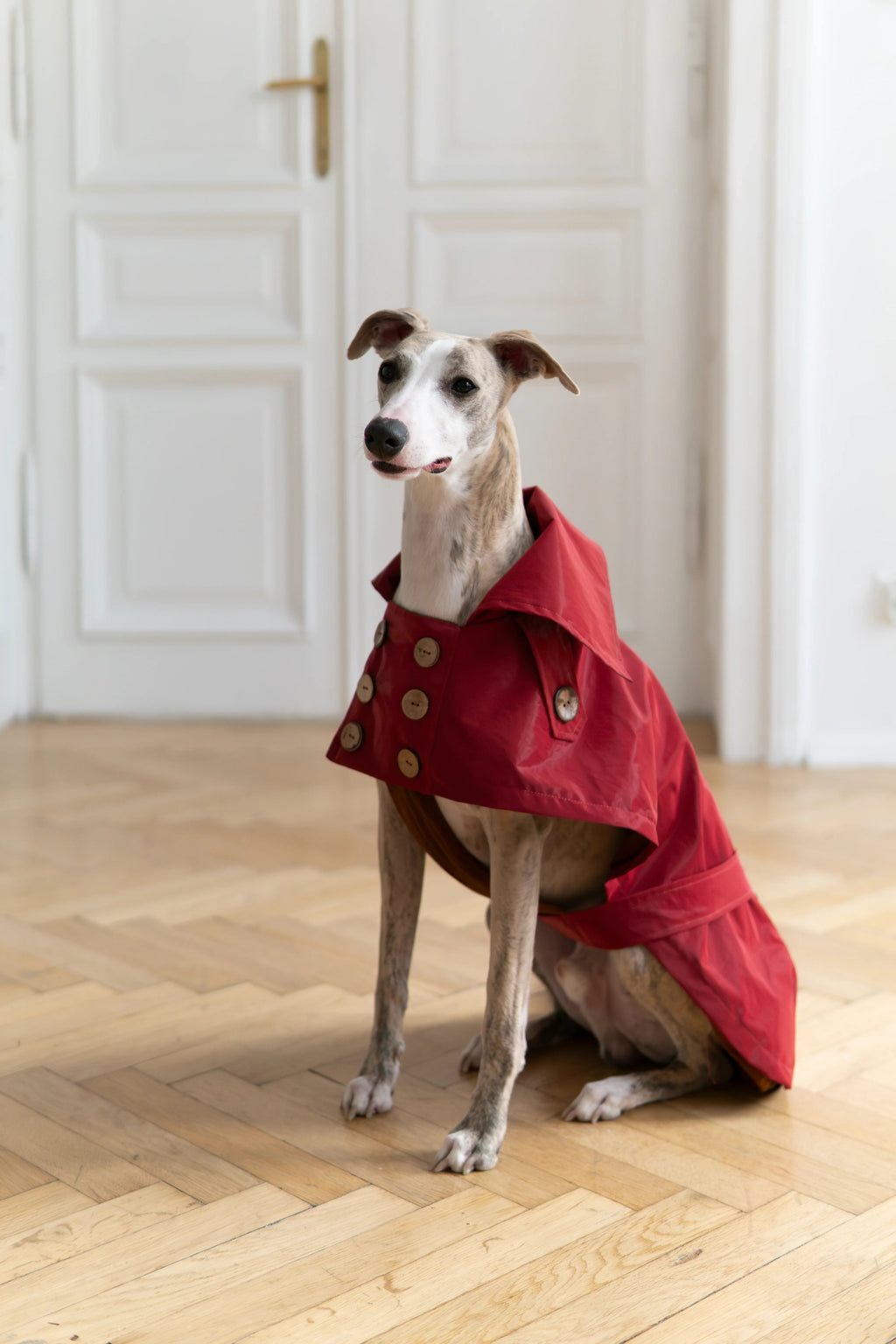 Gabardina impermeable Mellow para perros, burdeos