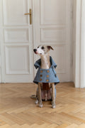 Gabardina impermeable Mellow para perros, azul claro
