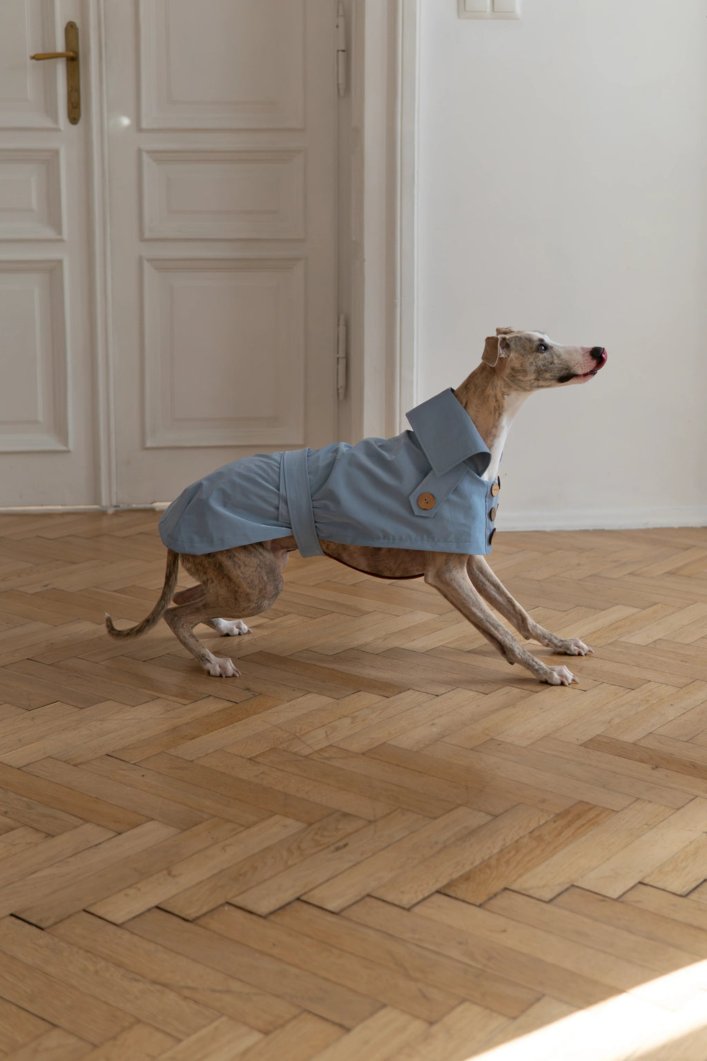 Gabardina impermeable Mellow para perros, azul claro, foto 5 de 5