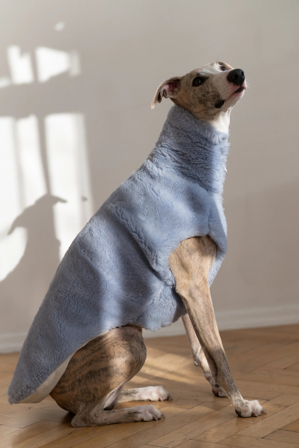 Chaleco de lana Mellow para perros, azul