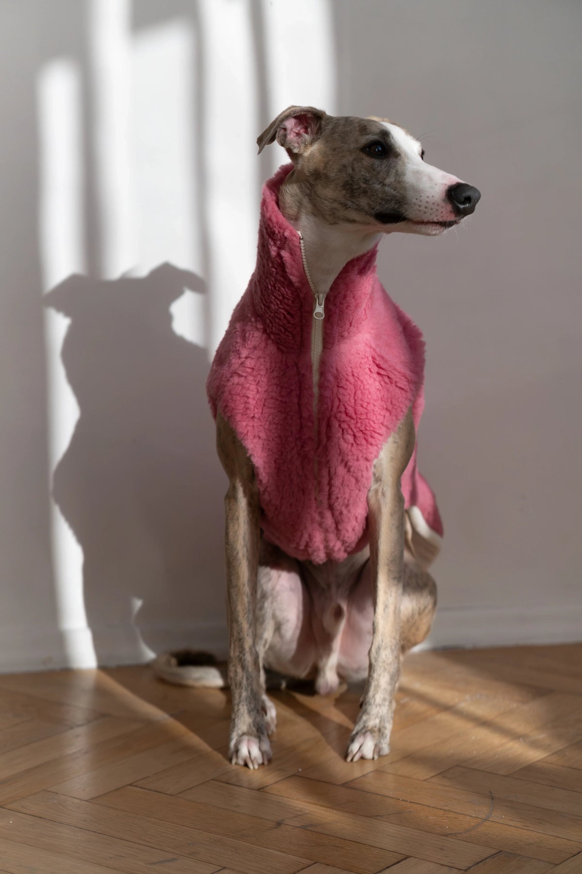 Chaleco de lana Mellow para perros, rosa, foto 3 de 5