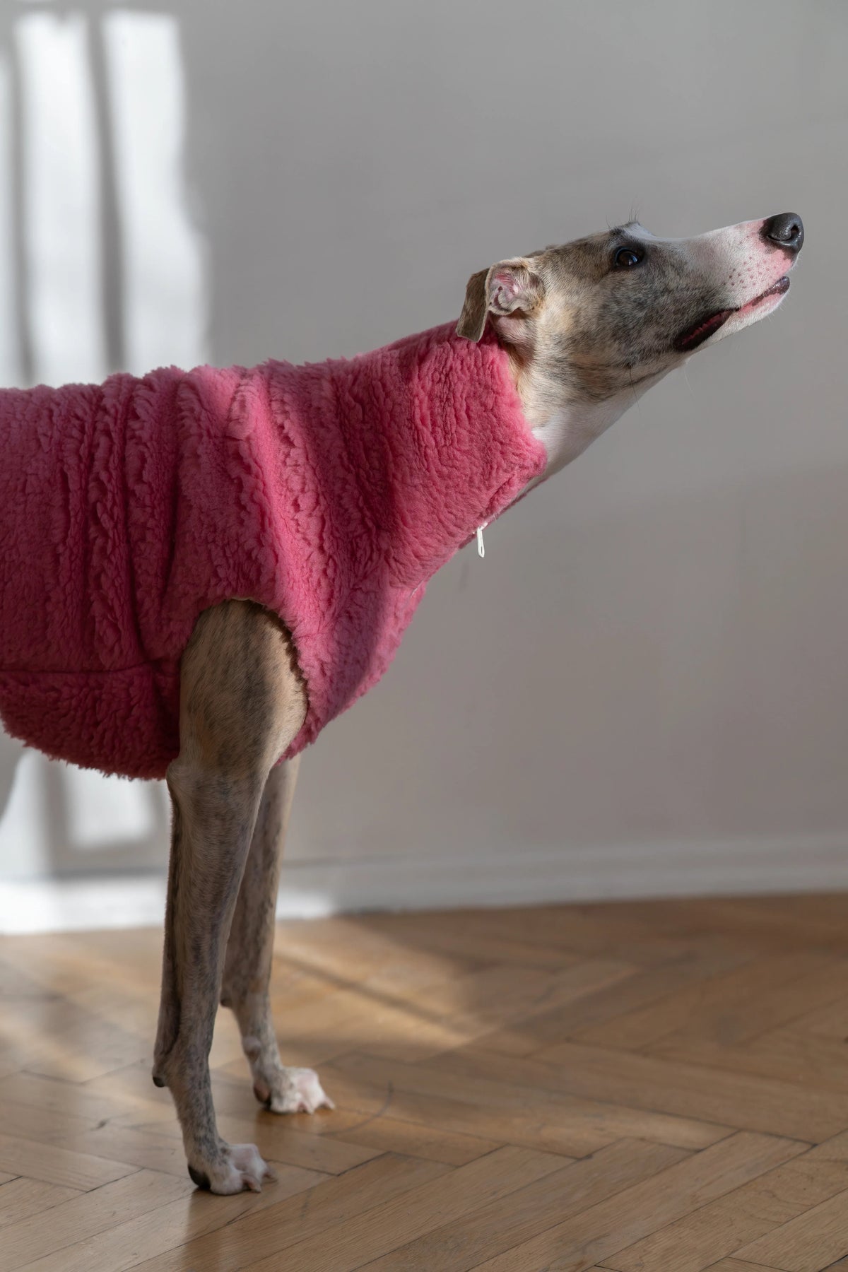 Chaleco de lana Mellow para perros, rosa, foto 5 de 5