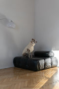 Chaleco de lana Mellow para perros, blanco
