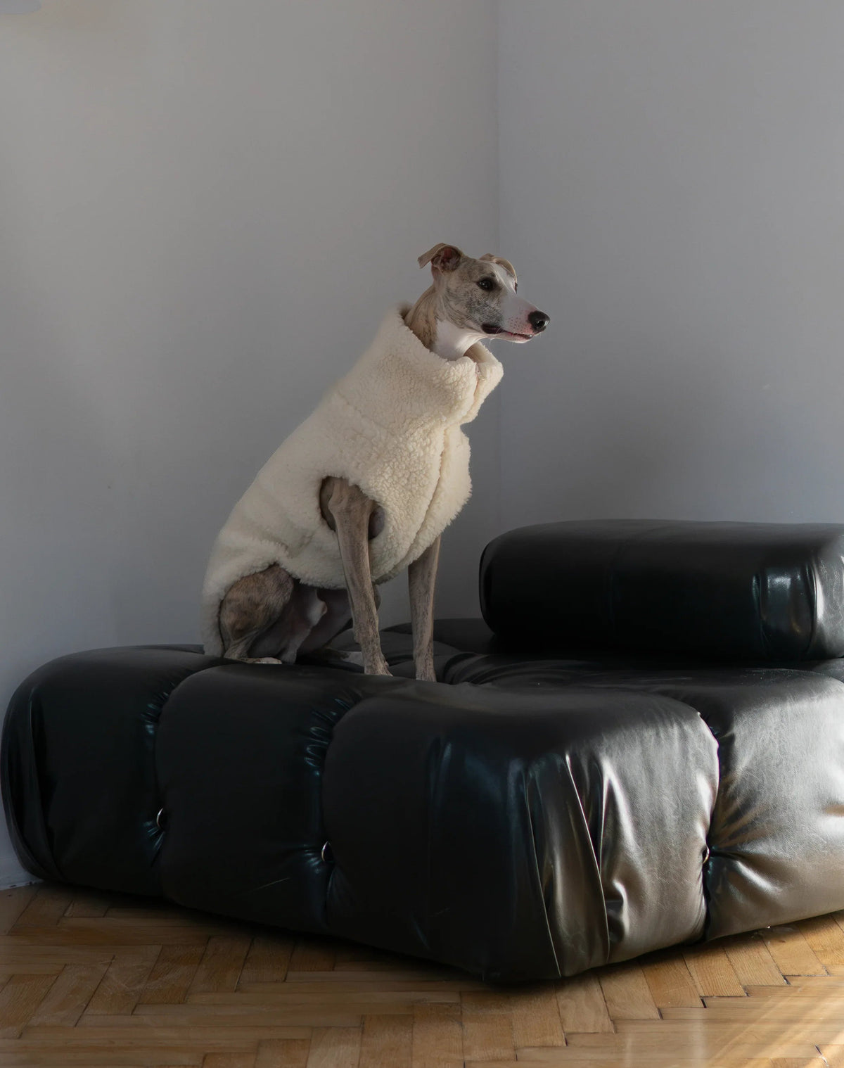Chaleco de lana Mellow para perros, blanco, foto 4 de 5