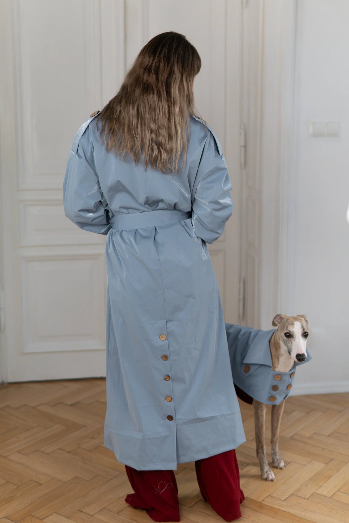 Gabardina impermeable Mellow para perros, azul claro, foto 3 de 5