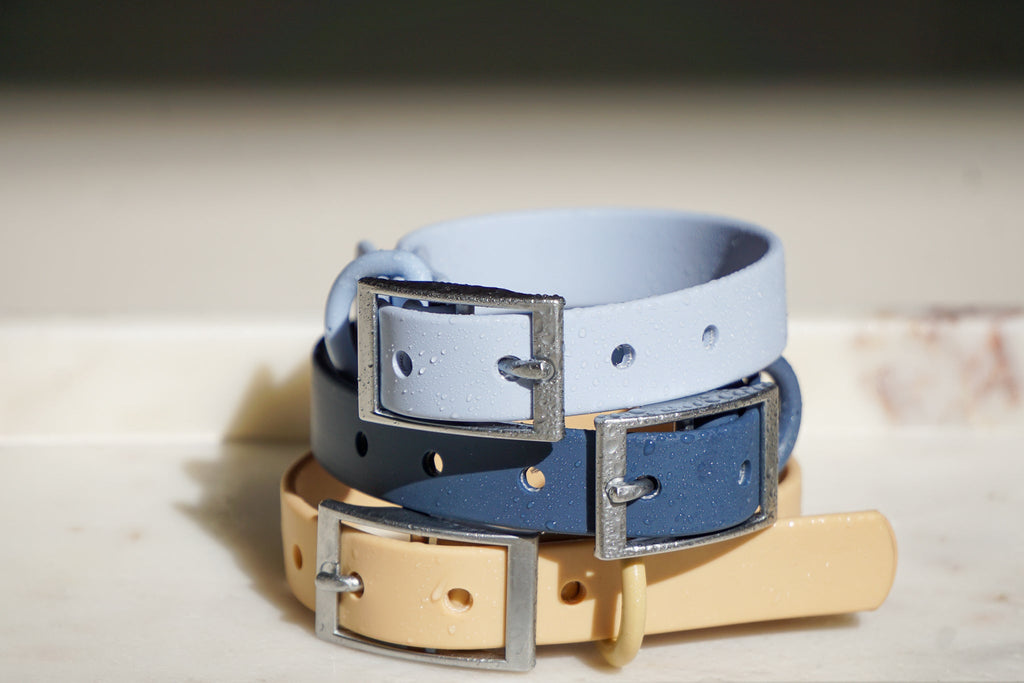 Fur & Whiskers collar para perros, foto 3 de 6