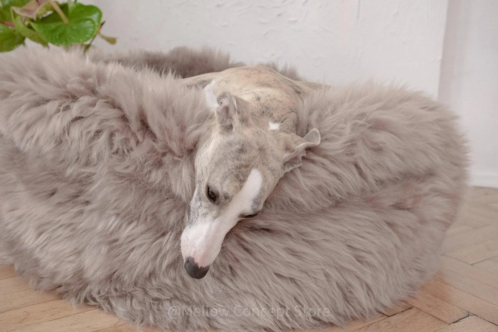 Oval Natural Sheepskin Pet Bed - Greige-4