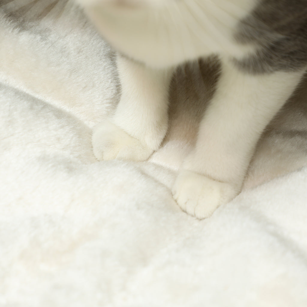 Nicho tejido para gatos con cojín suave, foto 2 de 9