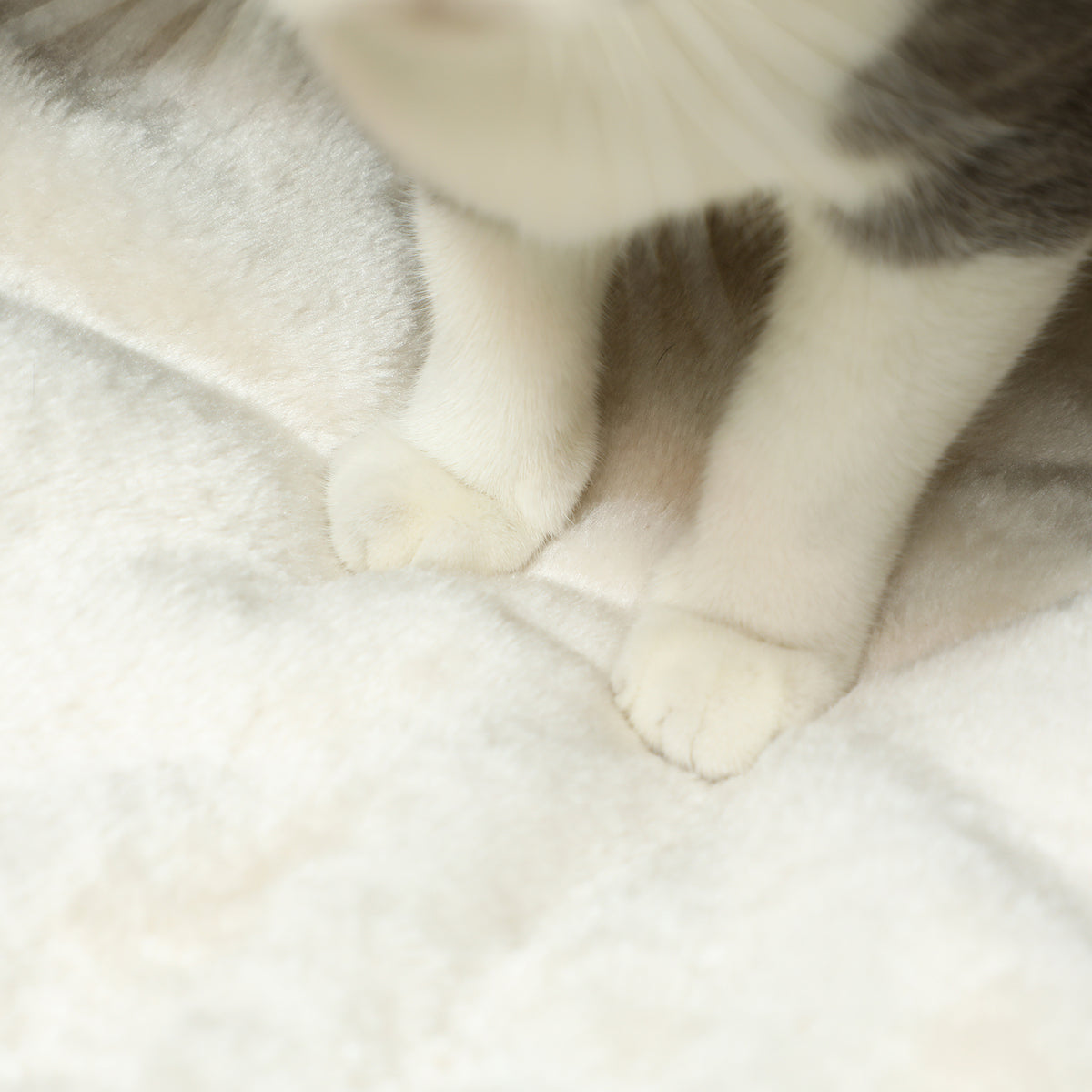 Nicho tejido para gatos con cojín suave, foto 2 de 9