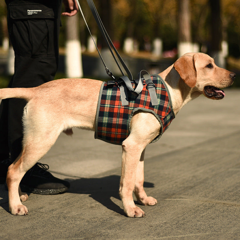 Arnés de apoyo para perros mayores y en recuperación