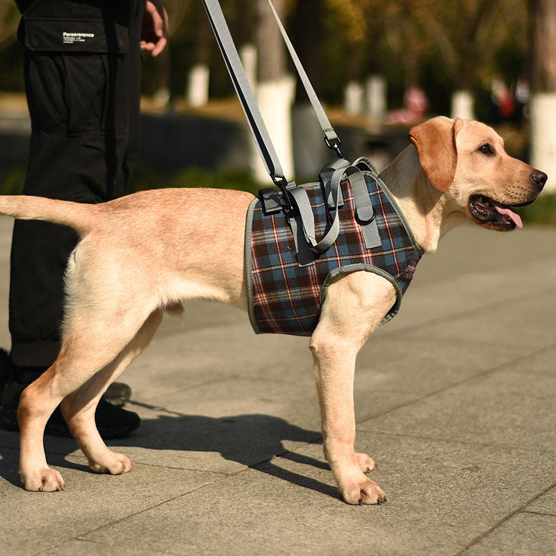 Arnés de apoyo para perros mayores y en recuperación