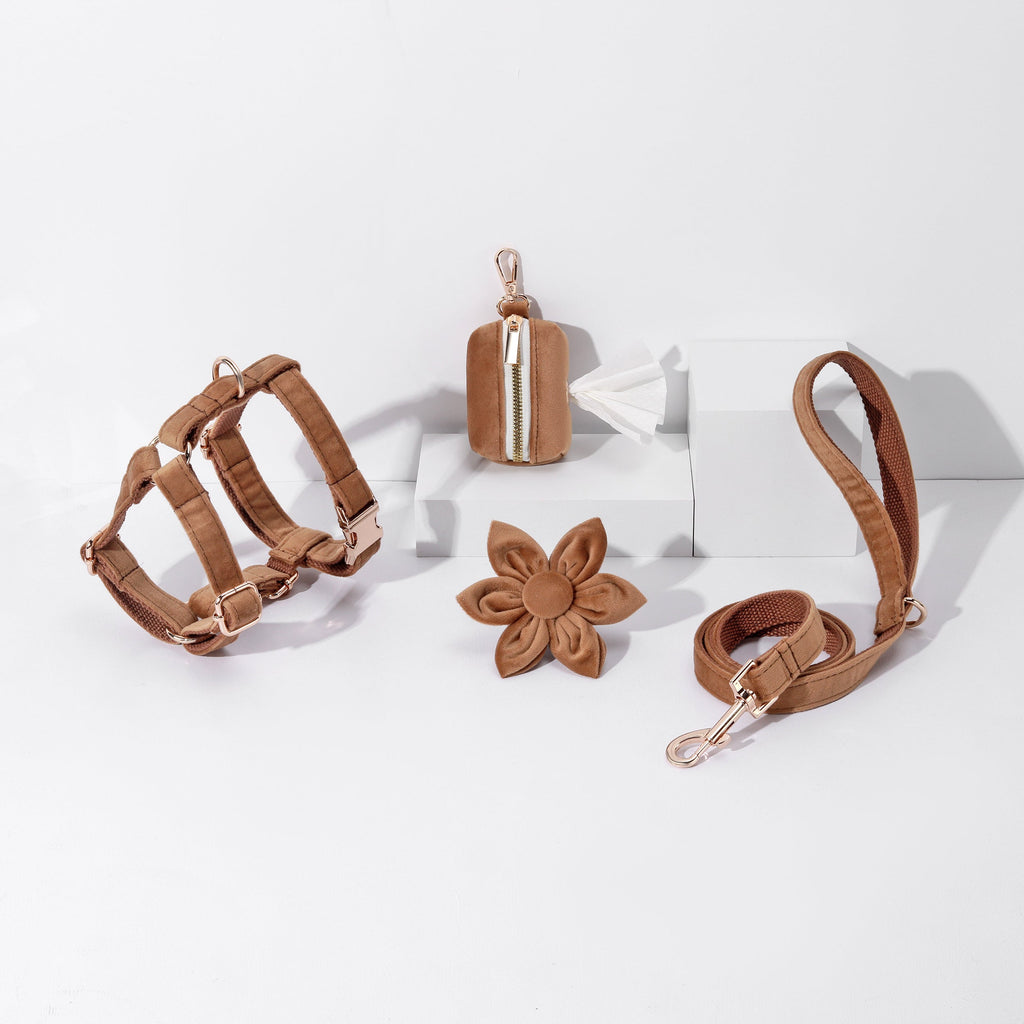 Set de paseo floral Pawsome Pets New York marrón