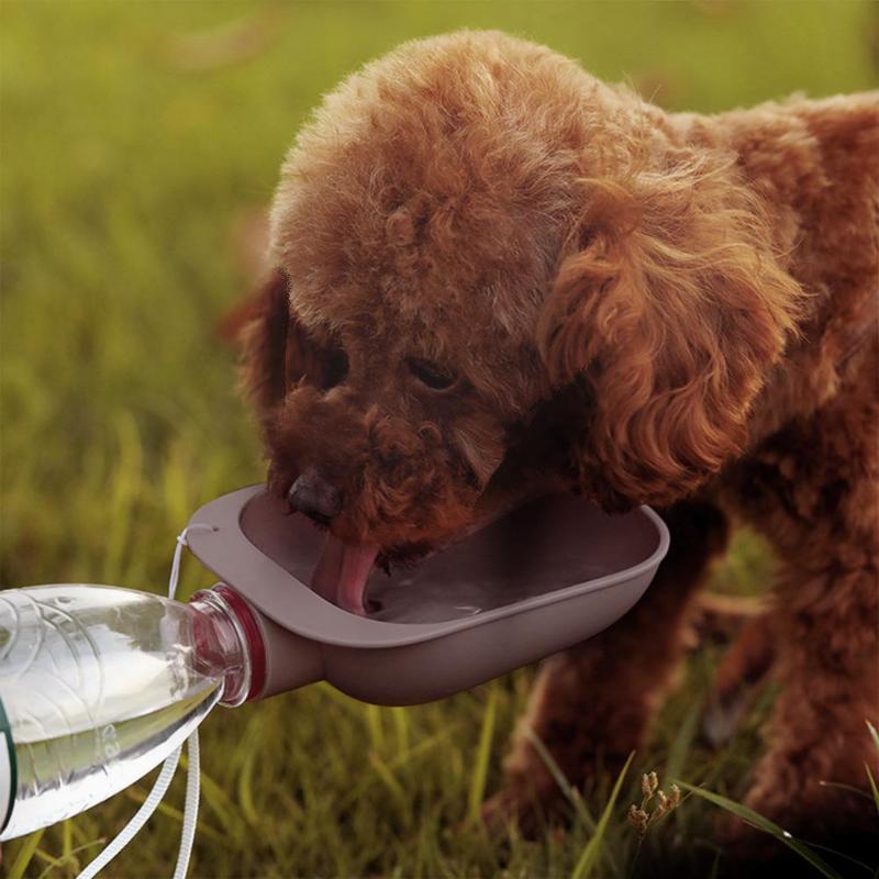 Bebedero portátil de viaje para perros y gatos