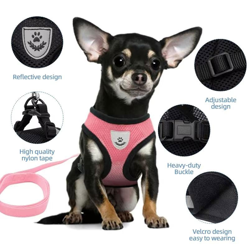 Arnés ajustable con collar y correa para perros pequeños y gatos, foto 12 de 16
