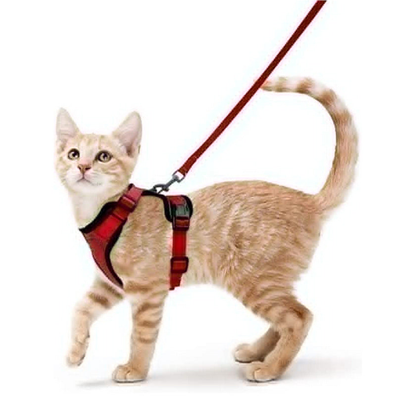 Arnés y correa ajustable antiescape para gatos en color rojo