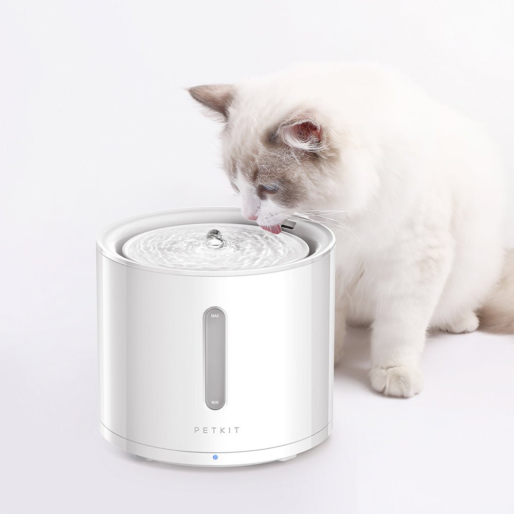 PETKIT EverSweet Solo 2 · Fuente de agua de 2 L con app y bomba inalámbrica, foto 2 de 5