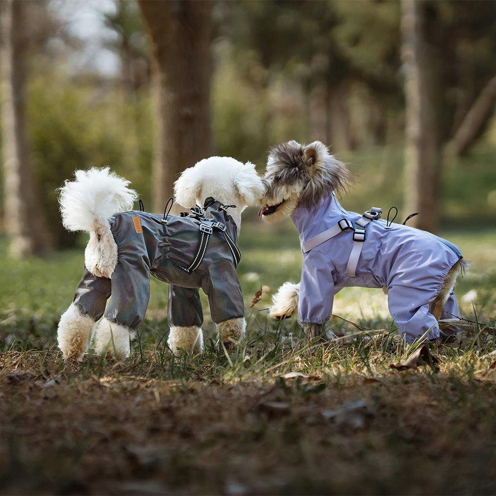 Chubasquero impermeable con capucha para perros pequeños y medianos