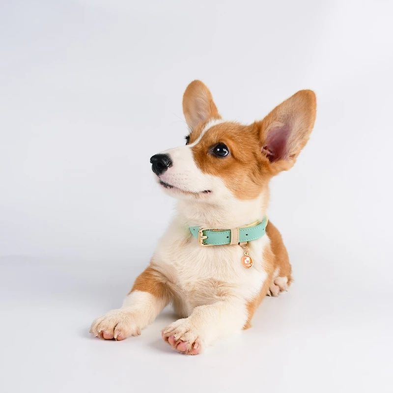 Collar de piel para perros y gatos, colores pastel
