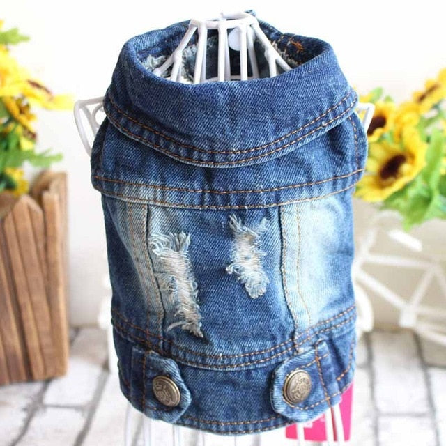 Chaqueta vaquera para perro pequeño con bordados