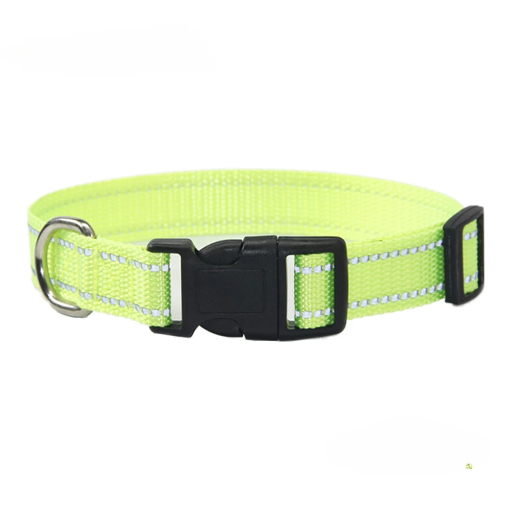 Set de collar y correa de poliéster para perros – Collar verde