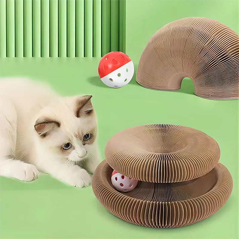 Rascador plegable para gatos con cama y pelota