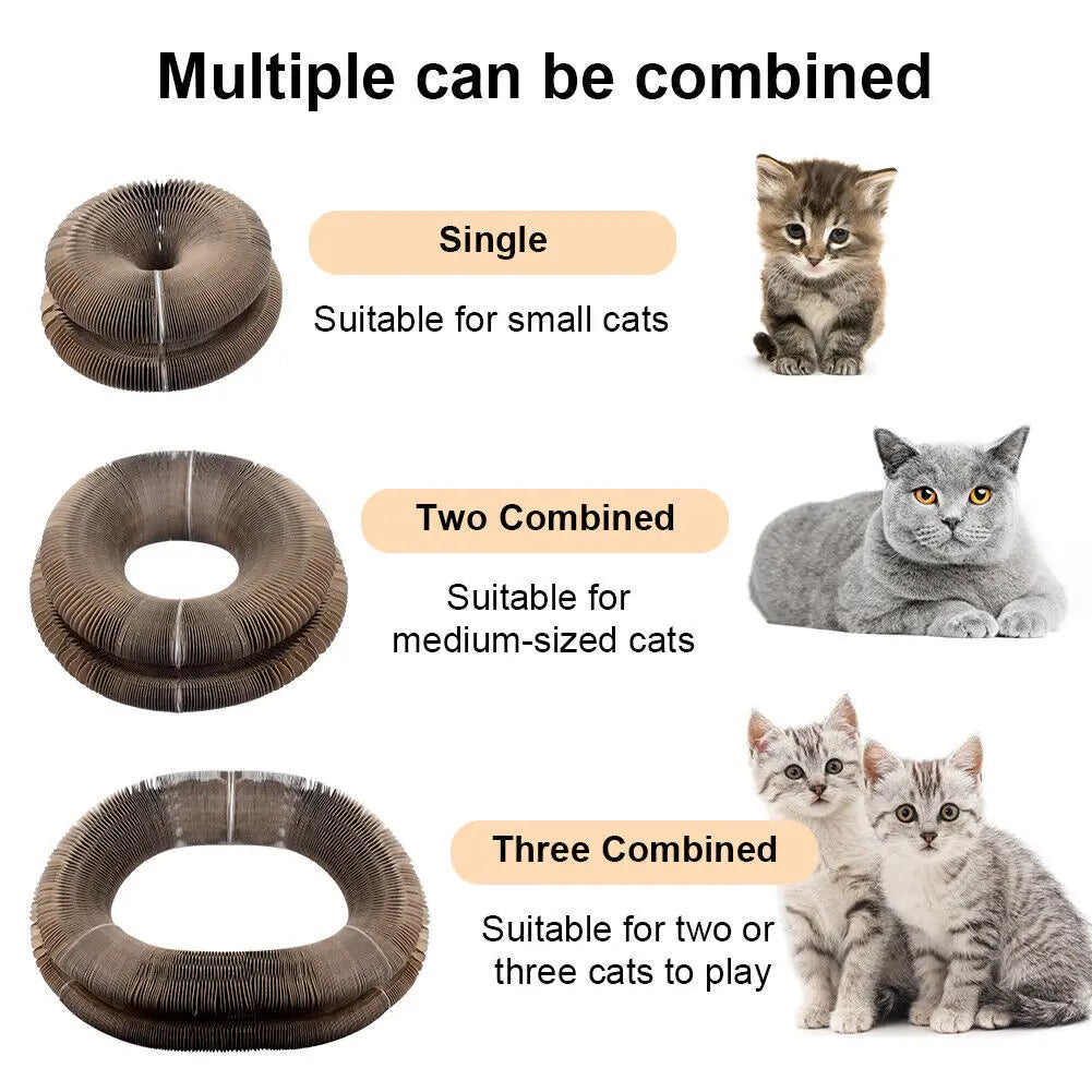 Rascador plegable para gatos con cama y pelota