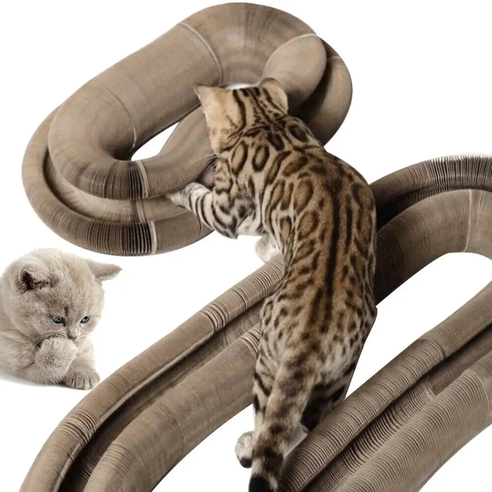 Rascador plegable para gatos con cama y pelota