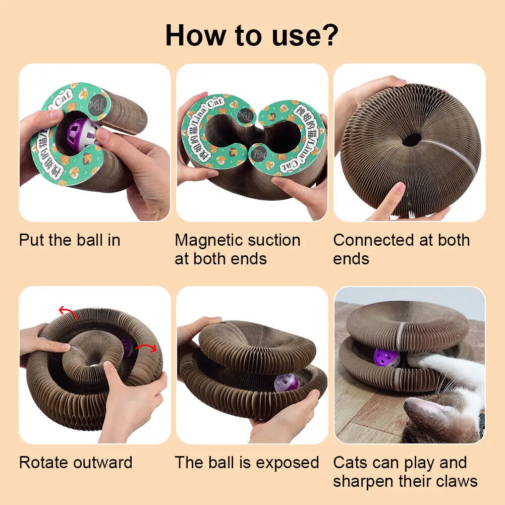 Rascador plegable para gatos con cama y pelota