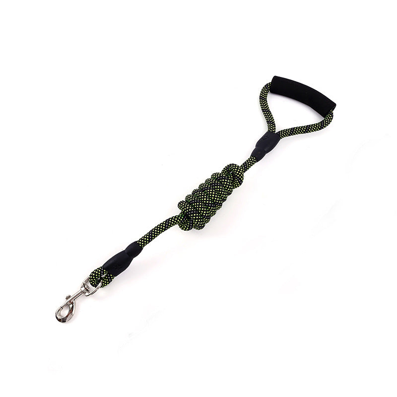 Correa de nylon con mosquetón para perros