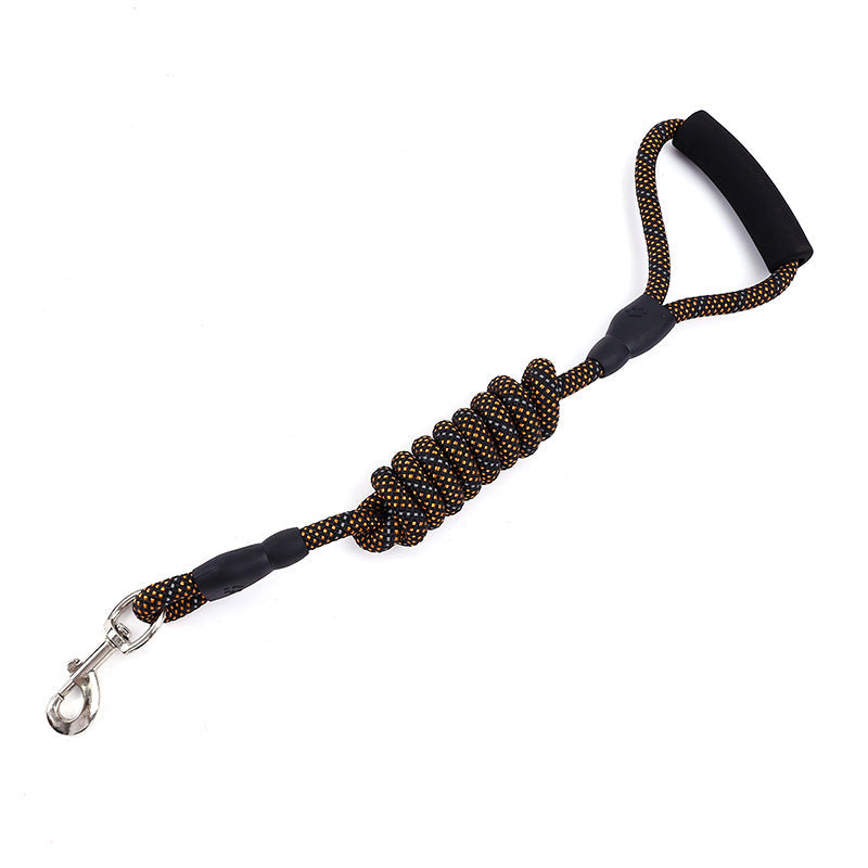 Correa de nylon con mosquetón para perros