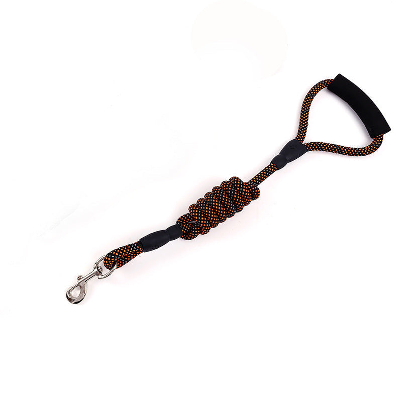 Correa de nylon con mosquetón para perros