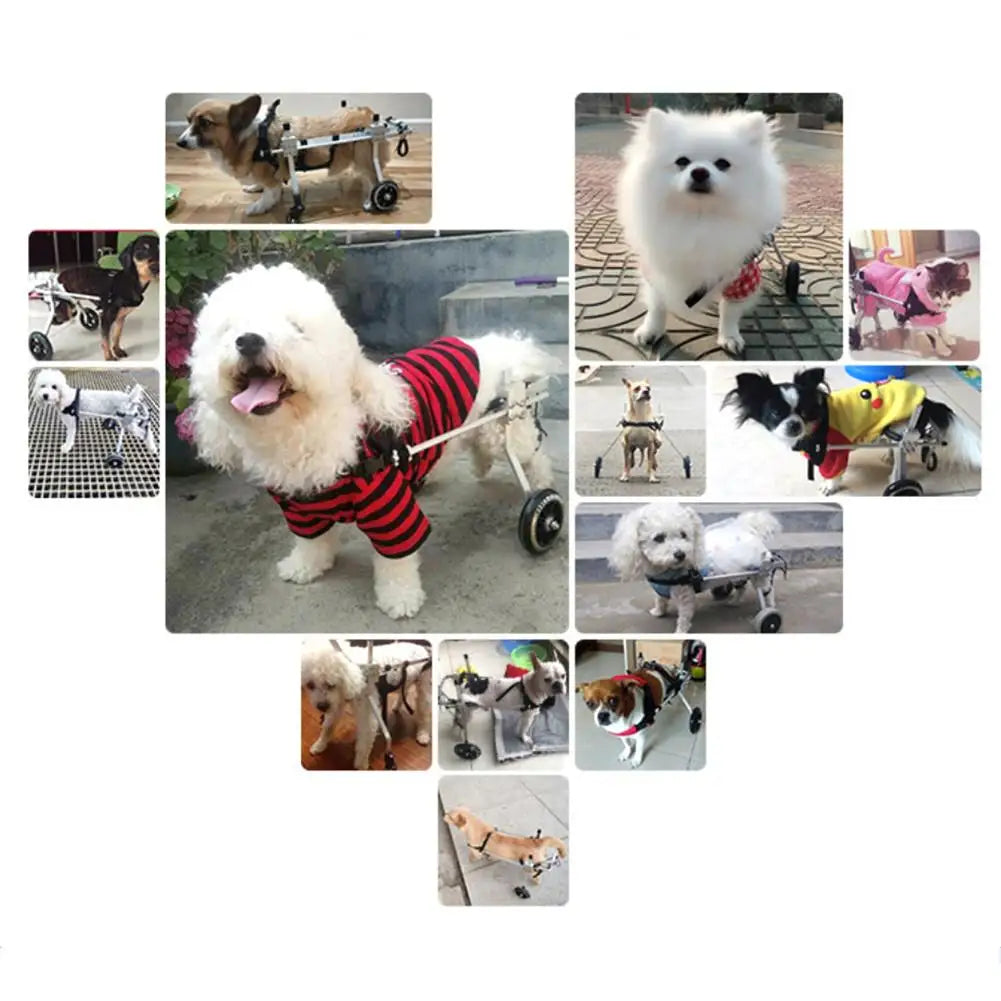 Silla de ruedas ajustable para perros con movilidad reducida