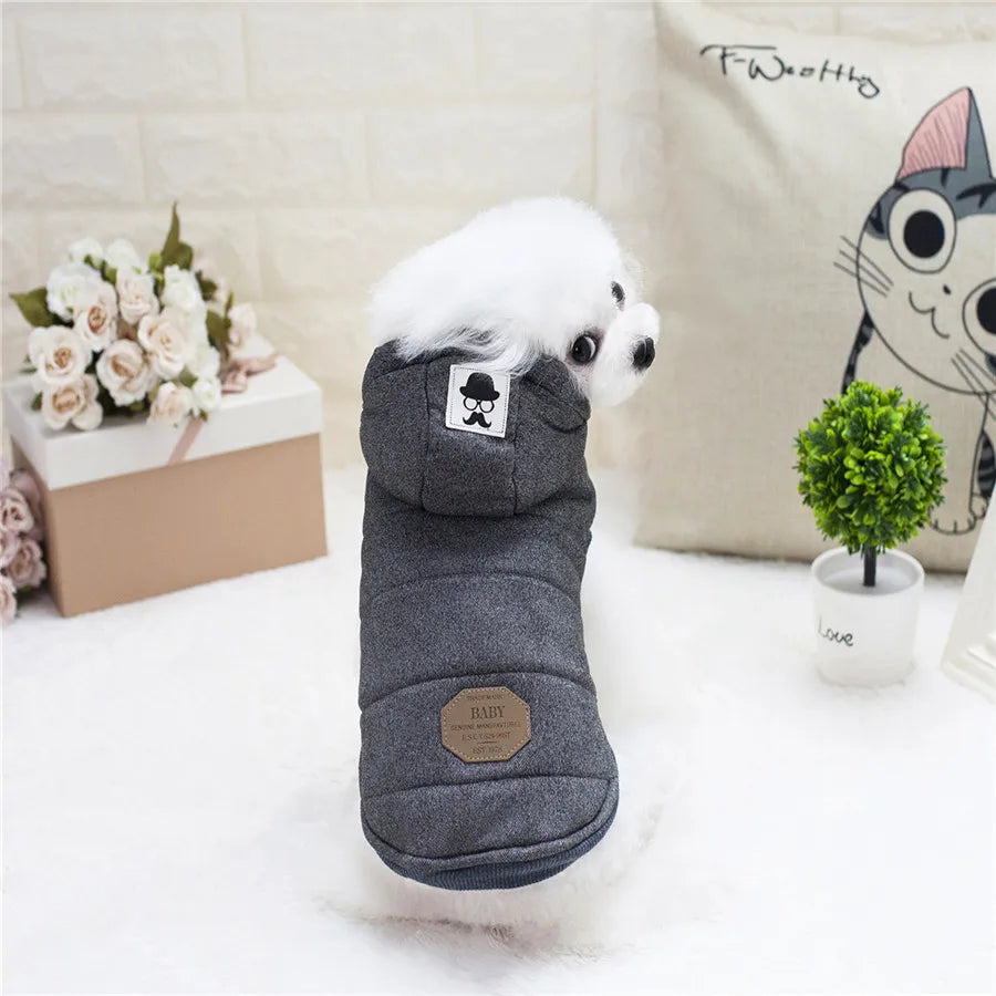 Abrigo de invierno con capucha para perros y gatos