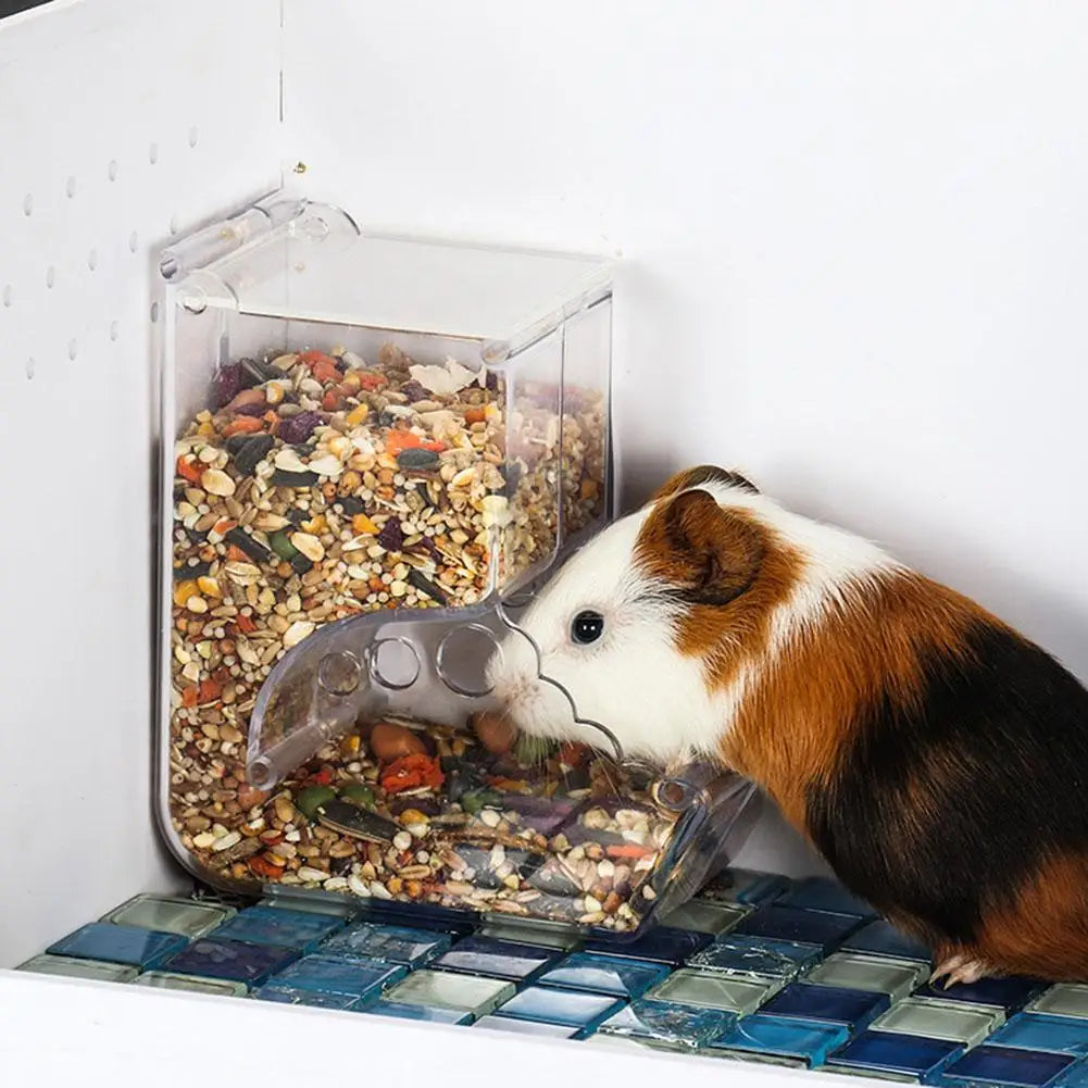 Dispensador de comida para hámster y mascotas pequeñas, foto 3 de 5