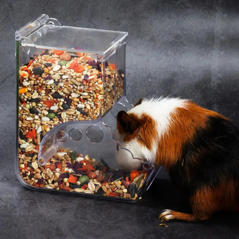 Dispensador de comida para hámster y mascotas pequeñas, foto 4 de 5