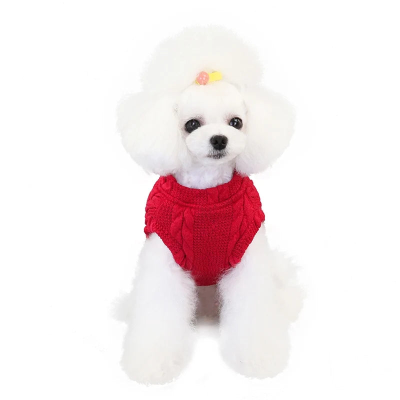 Jersey cálido de invierno para perros
